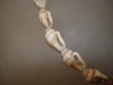 Muschelkette natur