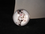 Katze 2