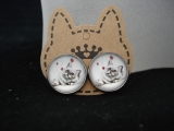 Katze 7